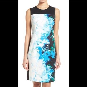 'Dakota' Floral Print Sleeveless Scuba Dress